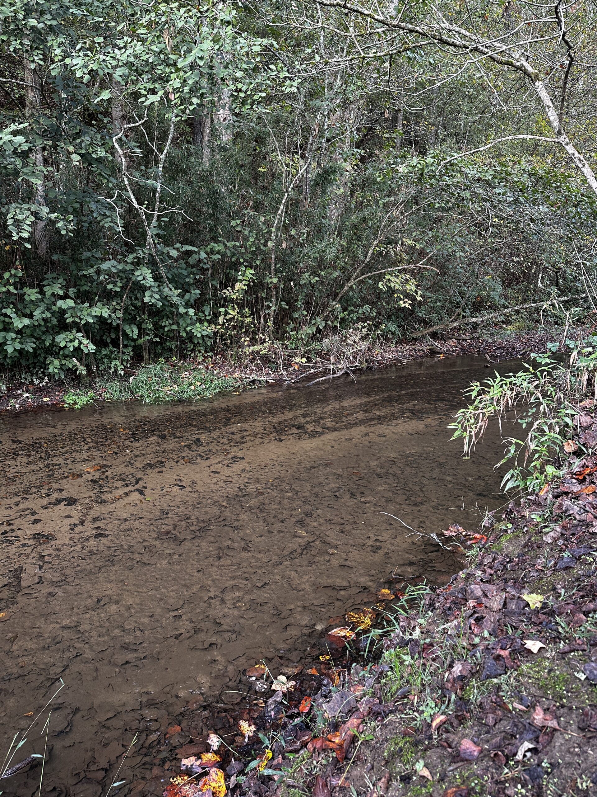 Creek in North Georgia Mountains