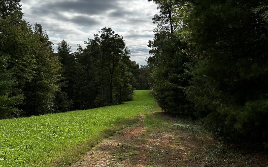 Why Isn’t Anything Happening?