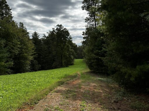 Why Isn’t Anything Happening?