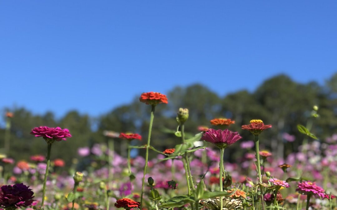 What Do I Do When I Can’t Stop Crying?