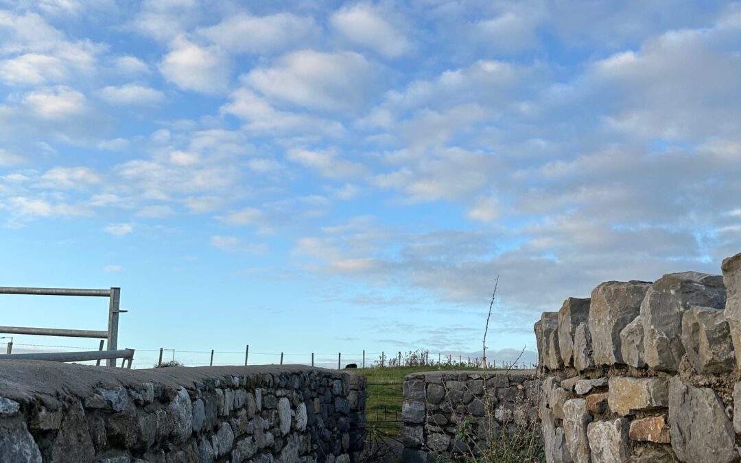 Thief vs Shepherd part 2