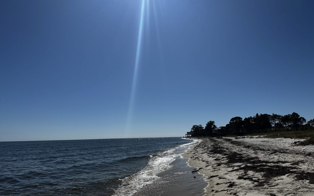 Thief vs Shepherd part 3