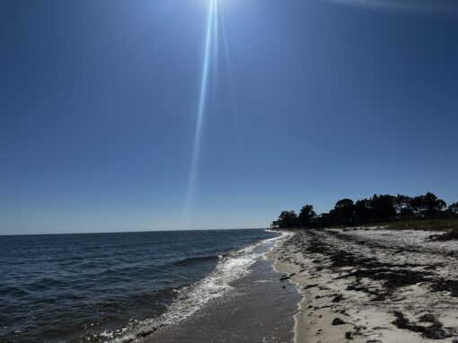 Thief vs Shepherd part 3