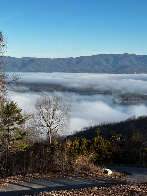 IMG_3738 Photo of fog over lake on a winter morning
